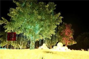 铜鼓岭网红,揭秘网红打卡地的魅力与故事